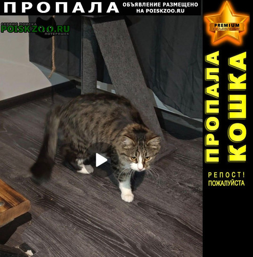 G k9wG XUAArC63?format=jpg.jpg