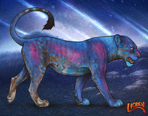 lioden wardrobe 2026 01 14T115515.934.png