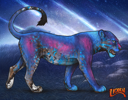 lioden wardrobe 2026 01 14T115535.767.png