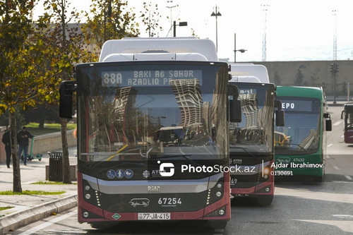 615824783 892522893173084 354841065934402437 n.jpg? nc cat=103&ccb=1 7& nc sid=127cfc& nc ohc=31Bm0x.jpg