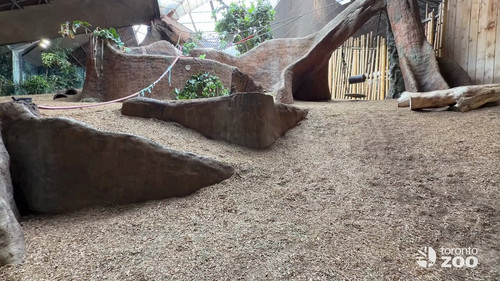 32NIXl5ws5iT sIH.jpg