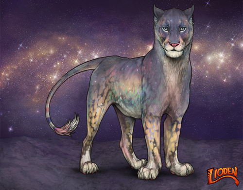 lioden wardrobe 2026 01 14T120012.938.png