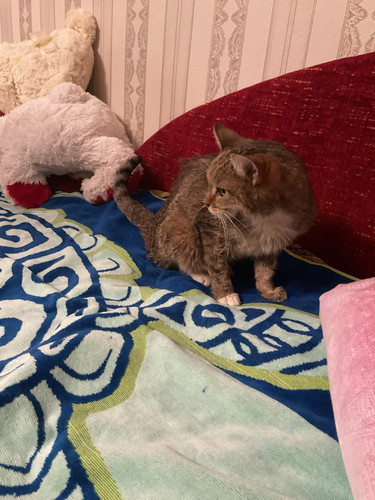 G kQKQLW0AAQ85K?format=jpg.jpg