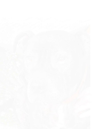 ktT 4E 6hqmK0ZKi.jpg