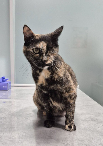 G oKuk4bUAEMZAr?format=jpg.jpg