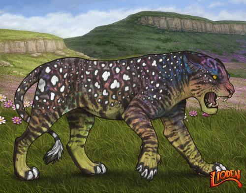 lioden wardrobe 2026 01 14T113436.978.png