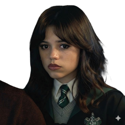 Picsart 26 01 14 14 51 52 188.png