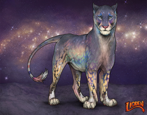 lioden wardrobe 2026 01 14T120034.951.png