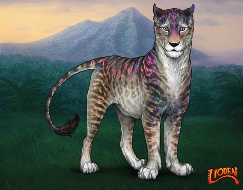 lioden wardrobe 2026 01 14T120326.606.png