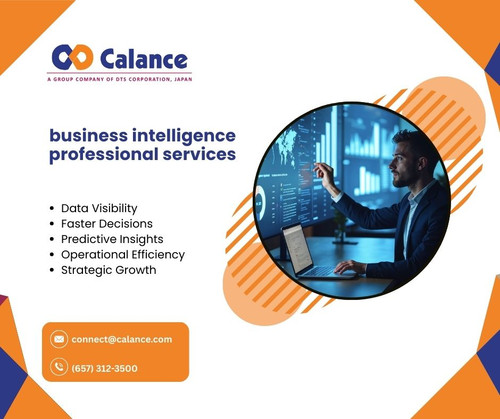 business intelligence professional services.jpg