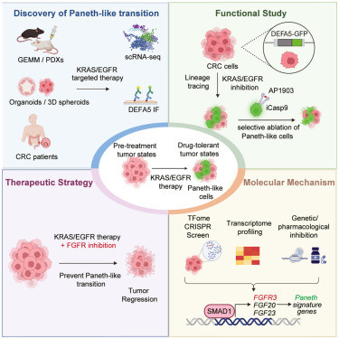 G oiyUgWAAA2uGx?format=jpg.jpg
