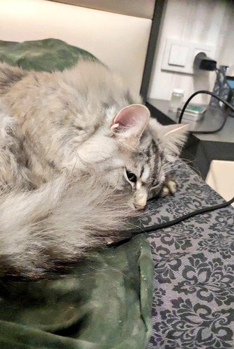 G j49VmXMAATkRY?format=jpg.jpg