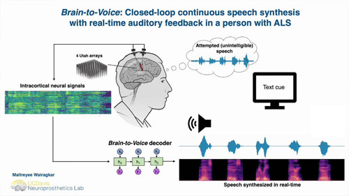 pYZJNjL gLN449Lv.jpg