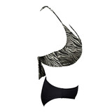 G026A0211012 CEBRA 03