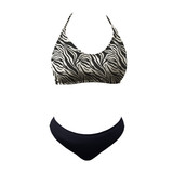 G026A0211012 CEBRA 01