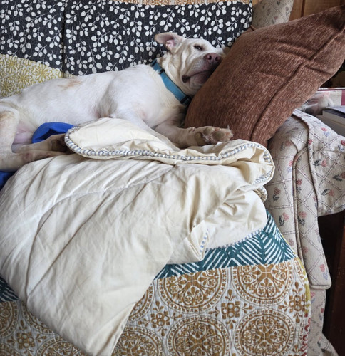 G jFglxXgAAC TE?format=jpg.jpg