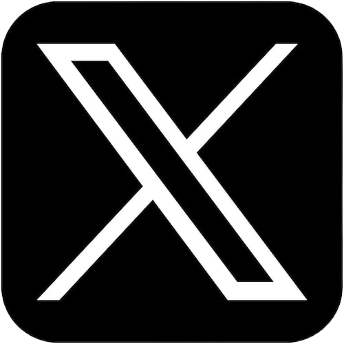X Icon.png