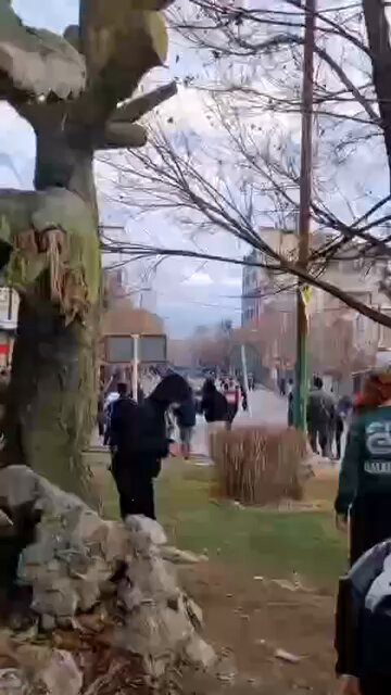 13nTlf1 UPlLBcDN.jpg