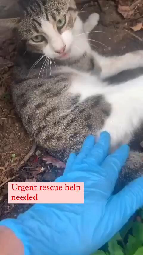 r5NM 6AmEPB0PCVw.jpg