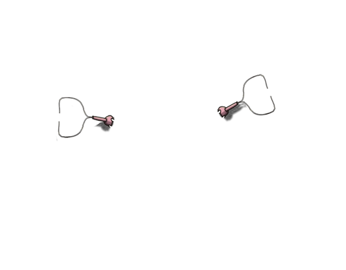 twins.png
