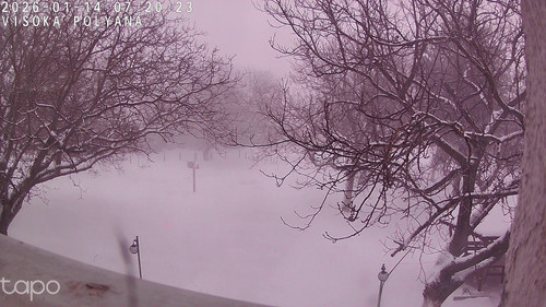 782051226B8E 20260114072025123 cam0.jpg