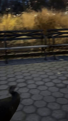 TE0MuEyPvvbbZG3Q.jpg