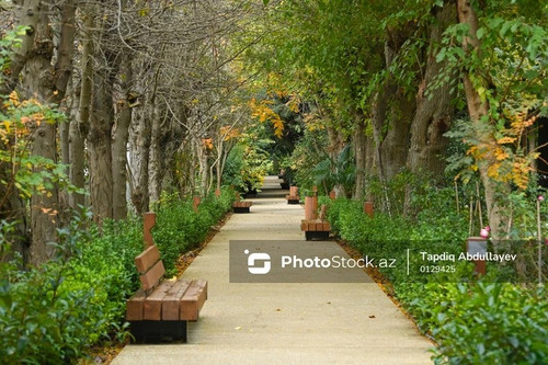 615699141 891710359921004 530799052385036197 n.jpg? nc cat=109&ccb=1 7& nc sid=127cfc& nc ohc=oIaji5.jpg