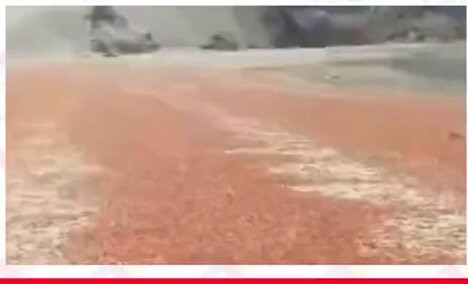 RLudXvr7NaHE3b l.jpg