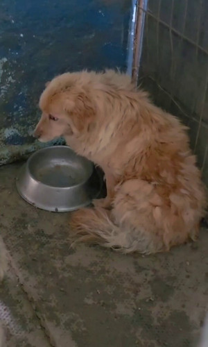 ir2t4J TuV8nlY6o.jpg