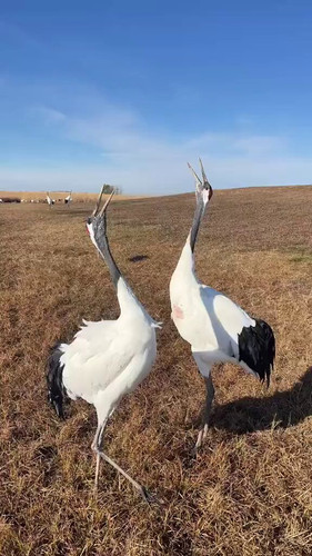 4OB EpKM BxgSBKr.jpg