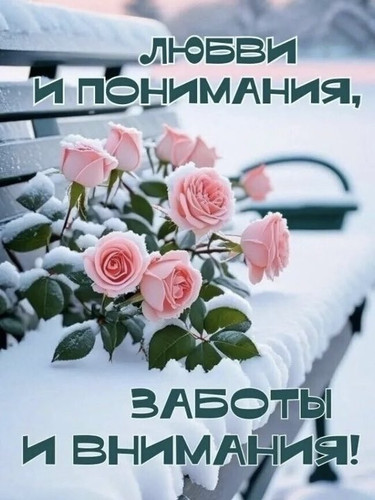 G hBL72XcAAecmE?format=jpg.jpg