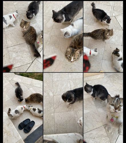 G XjyXzW0AAChoy?format=jpg.jpg