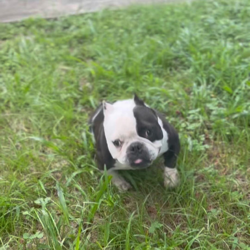 TR5nXBR6q 33evOE.jpg