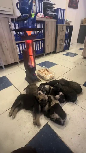 YGrAqBOZno X6lYx.jpg