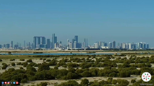 cM KISuZeJl7h153.jpg