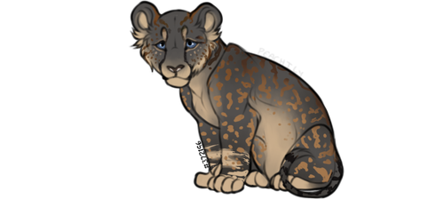 2678078C 9238 497F A22F 1D31CA80DB24.png