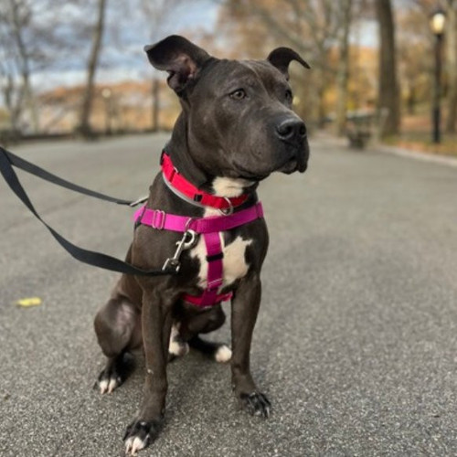 G9d VpCaMAAS82U?format=jpg.jpg