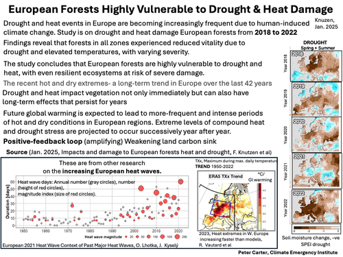 G lGDkTacAAVfzX?format=png.png