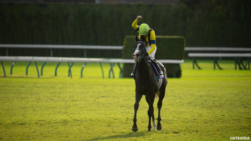 G nE3KXaAAAibPj?format=jpg.jpg