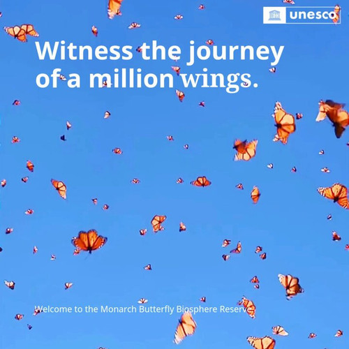 9yDmUuuc yev4fyr.jpg