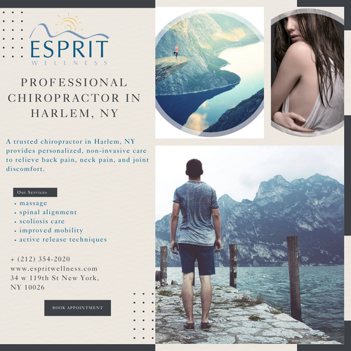 Top-Rated Chiropractor Harlem NY for Injury Recovery.png