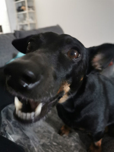 IMG 20260114 112441.jpg