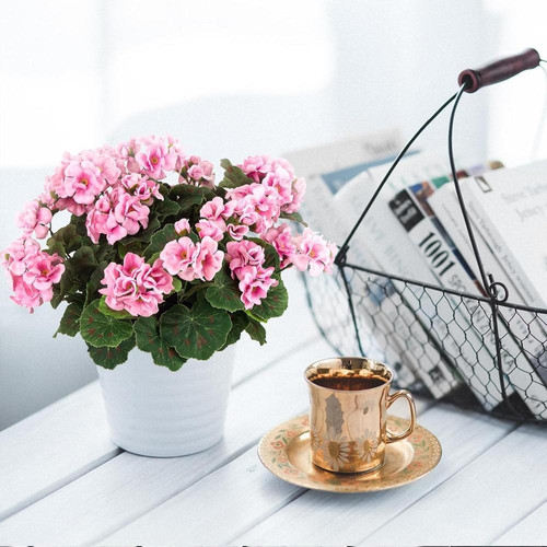 71Qf4ZotEaL. AC SL1500 (1).jpg