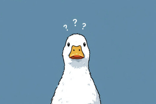 Confused Duck.jpg