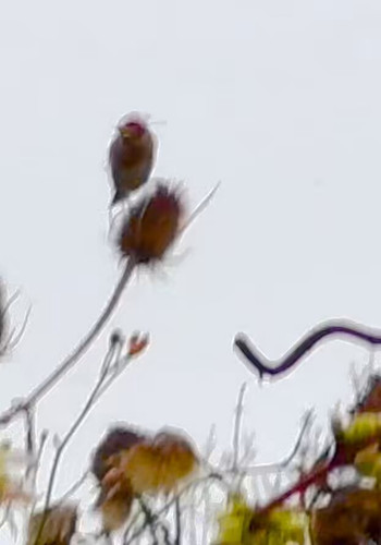 Y nm4UvAfcqG1VMg.jpg