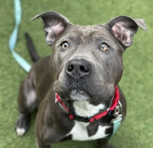 G kLNB8WUAAdlXs?format=jpg.jpg