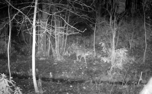 ERMQdbmXtdcTk KX.jpg