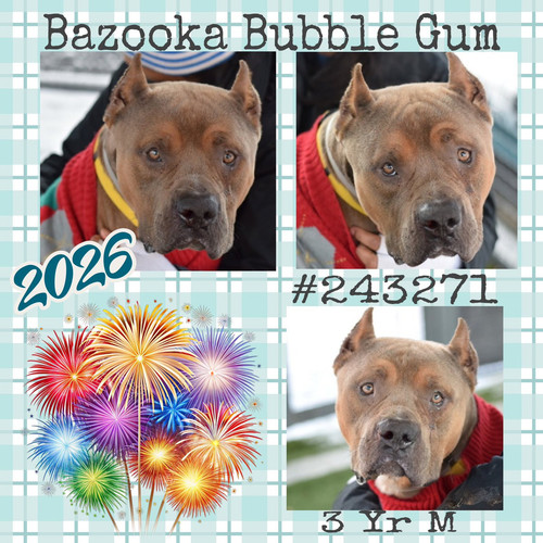 G ZvEWIW0AAZBqT?format=jpg.jpg