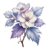 kits tammys welt first frost (75)