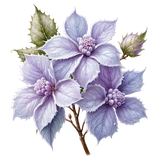 kits tammys welt first frost (74)